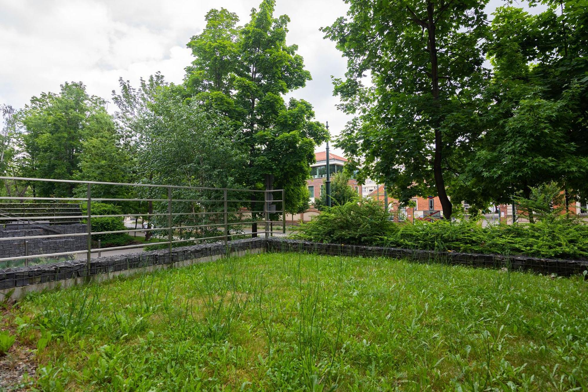 Apartments Nearto Old Town Rakowicka Cracóvia Exterior foto